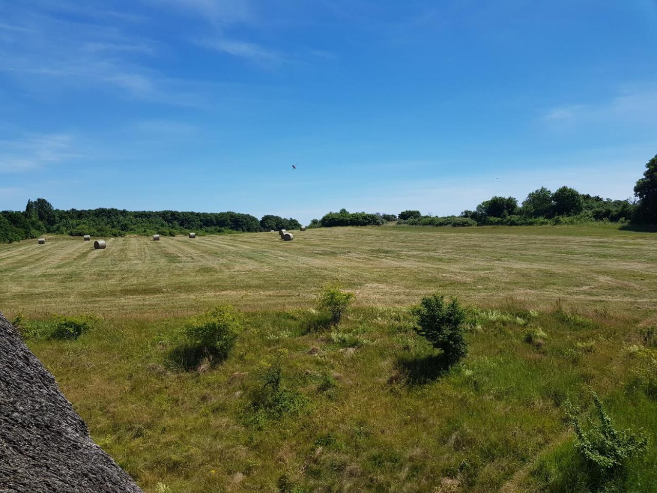 Fewo 18 Im Strandhaus Lobbe Mit Balkon Exterior foto